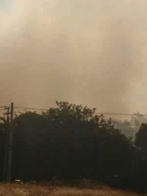 28699112_1319034278241917_2062190450215177016_o