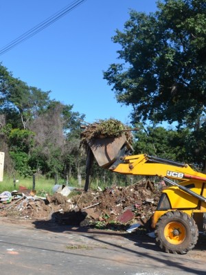 zavaglia mutirão 15