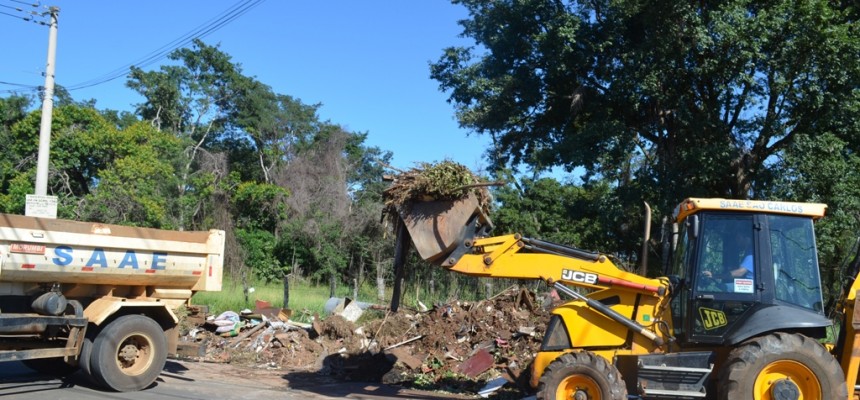 zavaglia mutirão 15