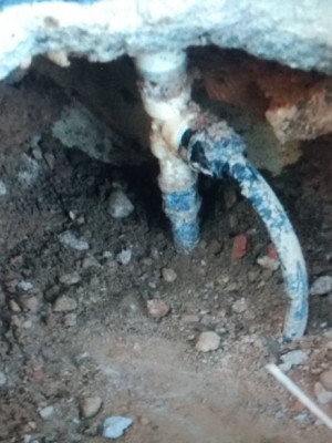 00aa2c9f-e0db-4999-a470-78ef1716a66e