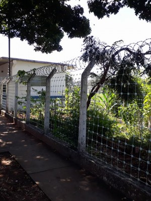 Posto I