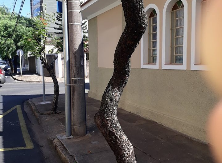 31949160_1637393316309326_1718436670195367936_n