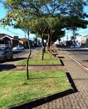 rua-larga-696x370