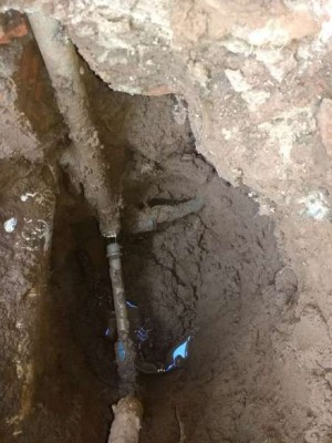 whatsapp-image-2018-05-11-at-201446