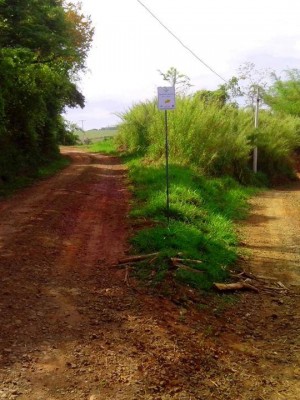 Caminho da Paz (1)