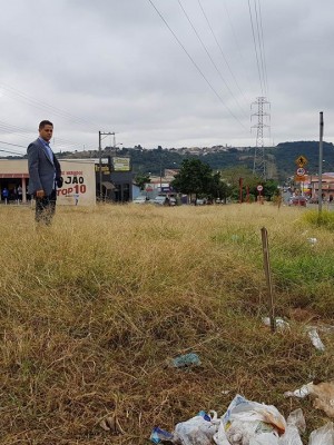 paraná_canteiros