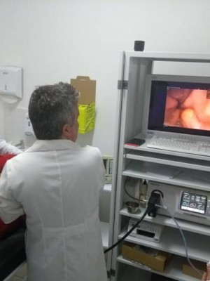 endoscopia-hu-696x522