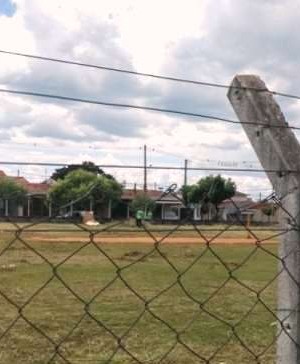 Campo Alberto Dunk