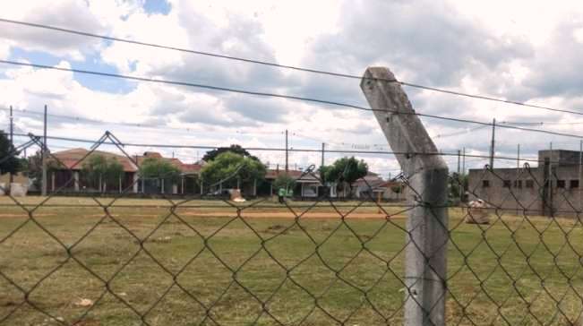 Campo Alberto Dunk