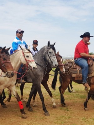 cavalgada (5)