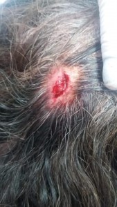 45014912_1933232513378704_1579897882973044736_n