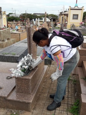 AEDES MOBILIZACAO 2