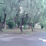 Praça Paulistano 1