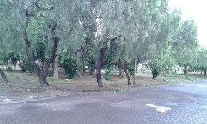 Praça Paulistano 1