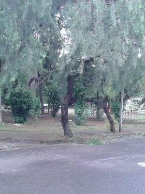 Praça Paulistano 1
