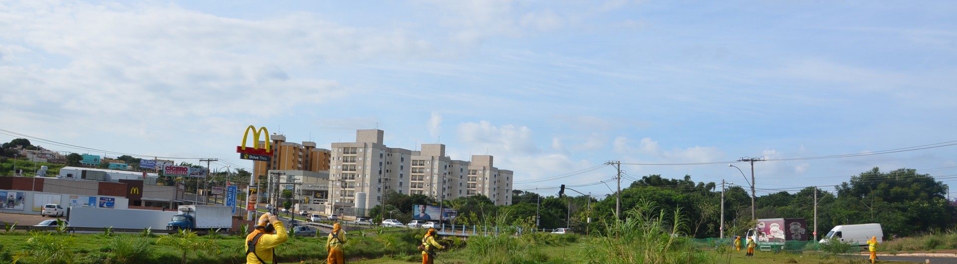 capinação (8)