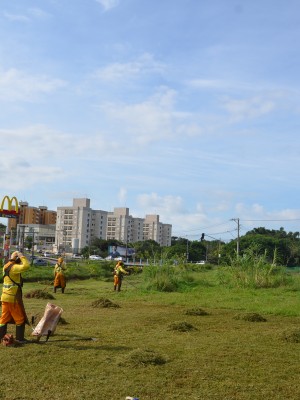 capinação (8)
