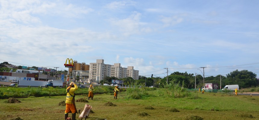 capinação (8)