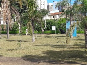 kartodromo3