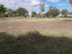 kartodromo4