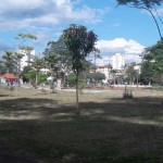 kartodromo5