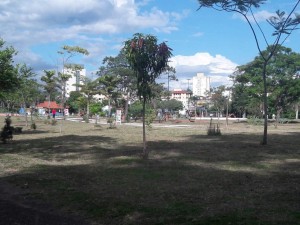 kartodromo5