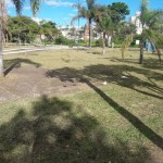 kartodromo6