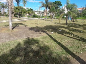 kartodromo6