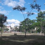 kartodromo7