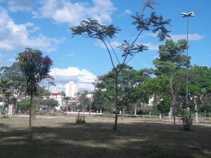 kartodromo7