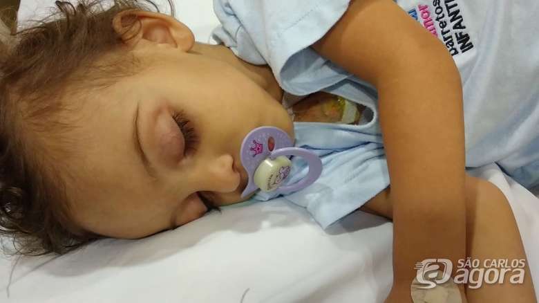 luna-materia-campanha