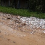 thumbnail_DSC00067