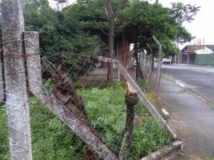 thumbnail_DSC09069