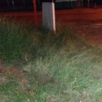 14de3f5b-2c9e-4055-9ce4-336c0c306686-576x1024