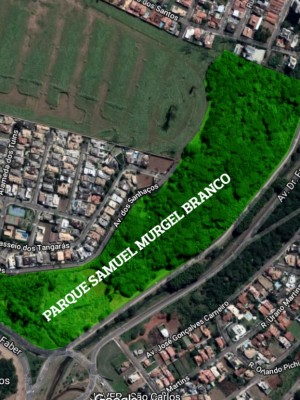 Parque Samuel Murgel Branco