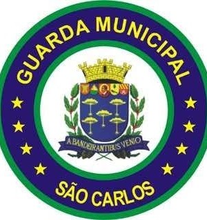 NovoBrasao (1)