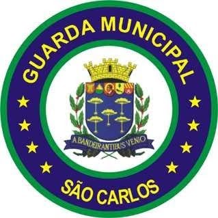 NovoBrasao (1)