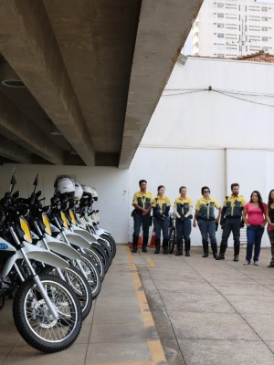 motocicletas 82