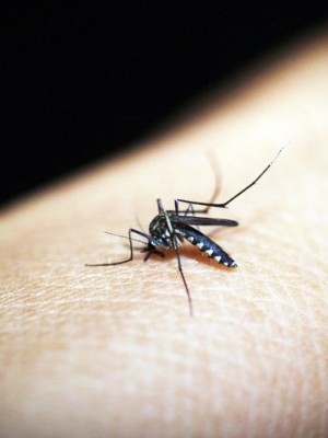 campinas_vive_790x505_28032019171338