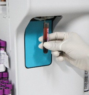 dengue_dengario_500x320_08042019173758