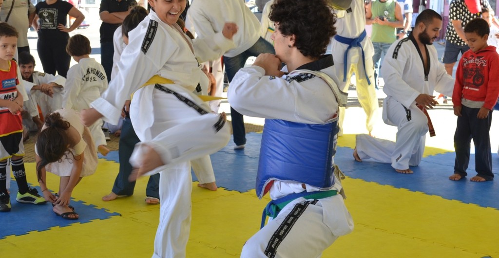 artes marciais final (32)