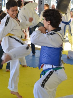 artes marciais final (32)