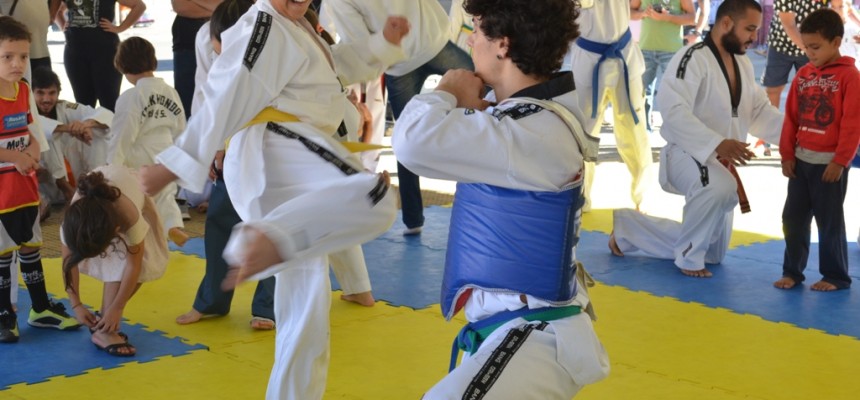 artes marciais final (32)