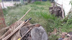thumbnail_20190511_150306