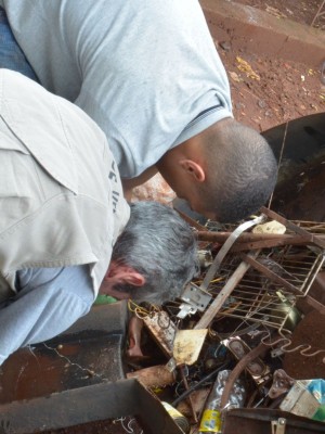 araraquara-confirma-12895-casos-de-dengue-RqIG