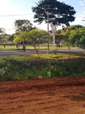 ponte região kartódromo (3)