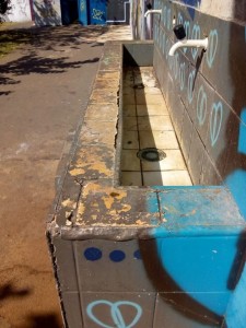 67305181_2276137415768243_8940955319844995072_n