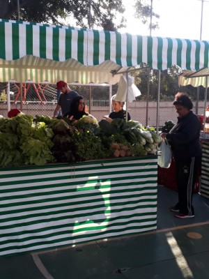 feira 1