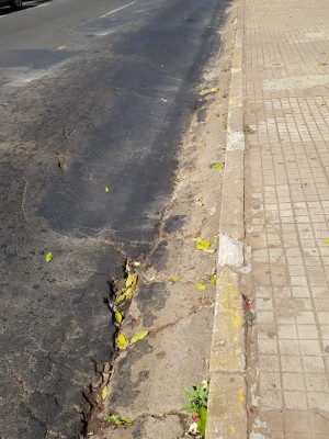 Rua Dona Alexandrina (2)