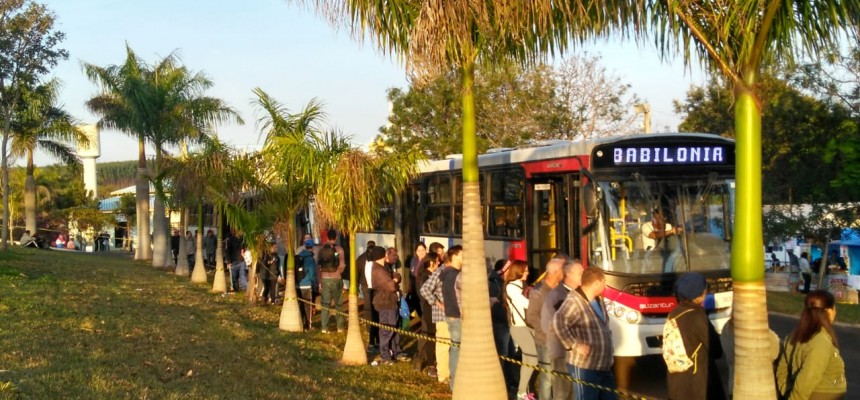 Suzantur Babilonia 2